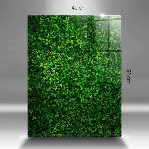 Protetor de placa de indução Planta com folhas pequenas