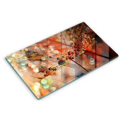 Vidro para placas de indução Dente-de-leão molhado