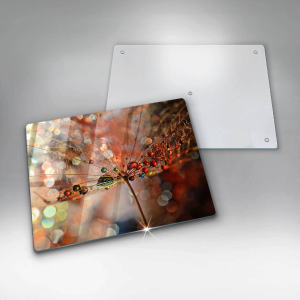 Vidro para placas de indução Dente-de-leão molhado