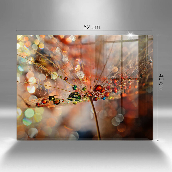 Vidro para placas de indução Dente-de-leão molhado