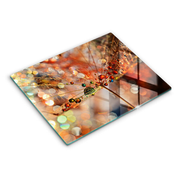 Vidro para placas de indução Dente-de-leão molhado