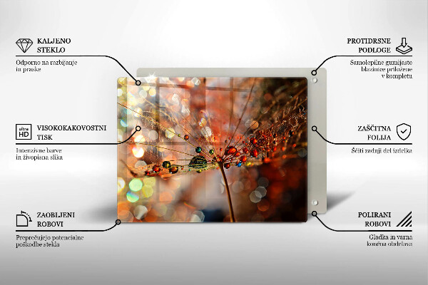 Vidro para placas de indução Dente-de-leão molhado