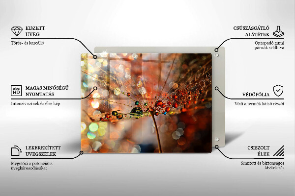 Vidro para placas de indução Dente-de-leão molhado