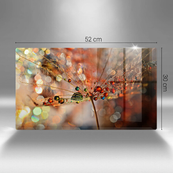 Vidro para placas de indução Dente-de-leão molhado