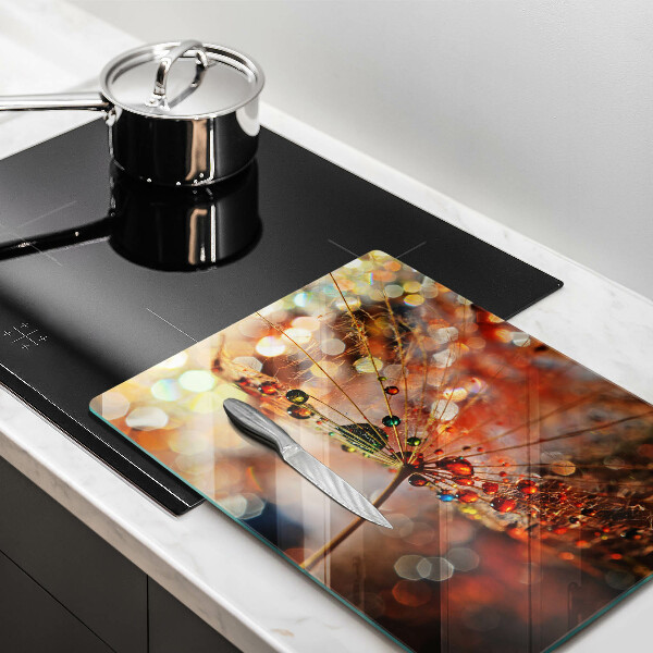 Vidro para placas de indução Dente-de-leão molhado