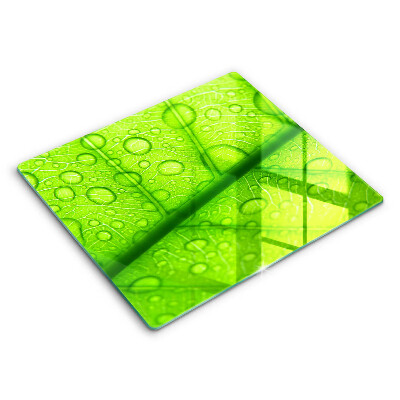 Protetor placa de indução Close-up de uma folha