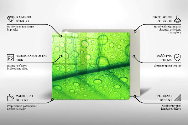 Protetor placa de indução Close-up de uma folha