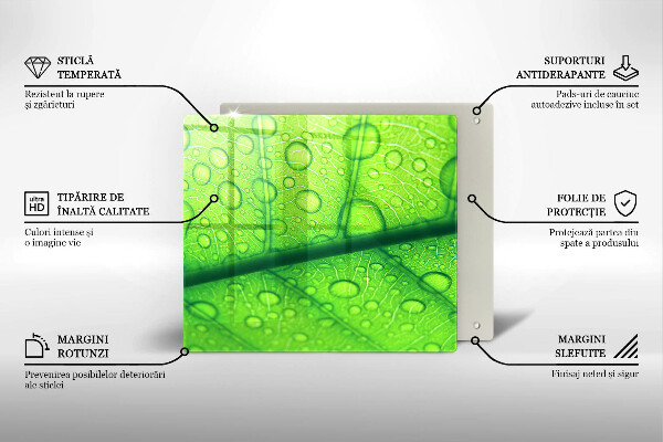 Protetor placa de indução Close-up de uma folha