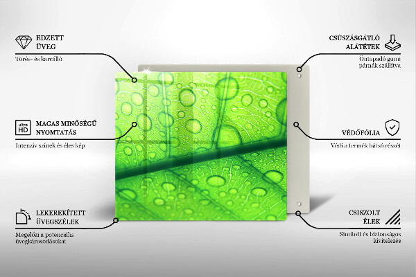 Protetor placa de indução Close-up de uma folha