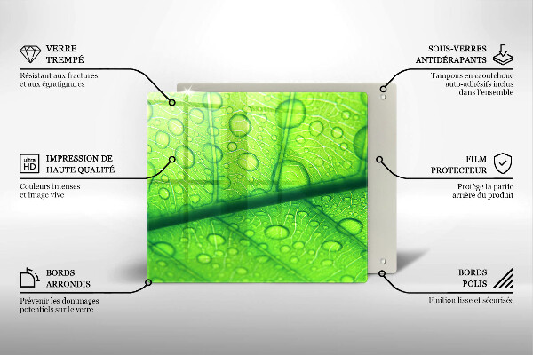 Protetor placa de indução Close-up de uma folha