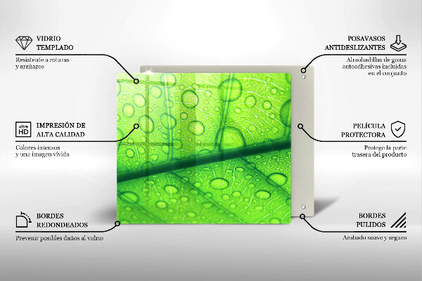 Protetor placa de indução Close-up de uma folha