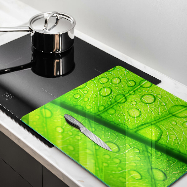 Protetor placa de indução Close-up de uma folha