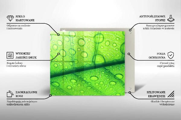 Protetor placa de indução Close-up de uma folha