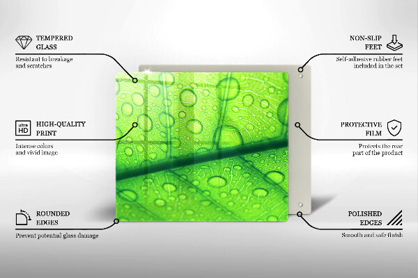 Protetor placa de indução Close-up de uma folha