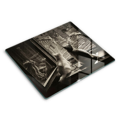 Tábua protetora Cidade dos gatos e janela