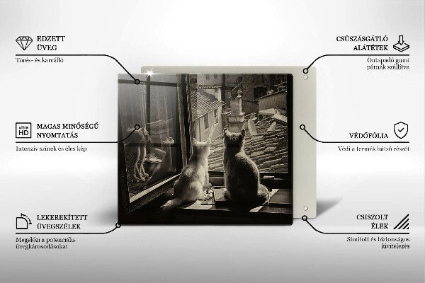 Tábua protetora Cidade dos gatos e janela