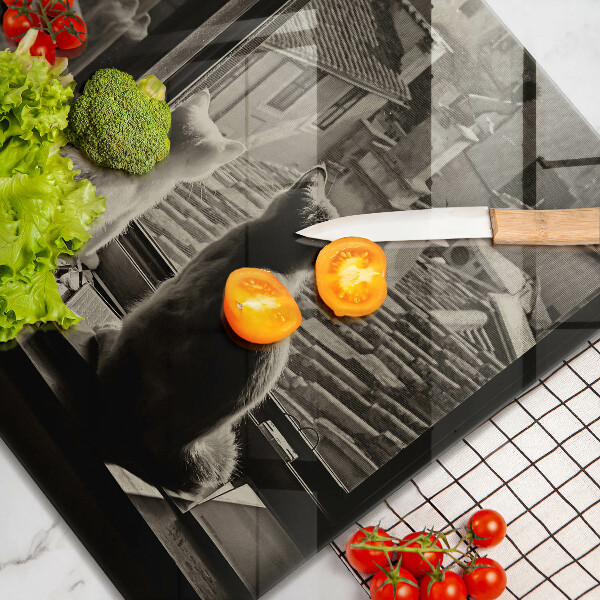 Tábua protetora Cidade dos gatos e janela