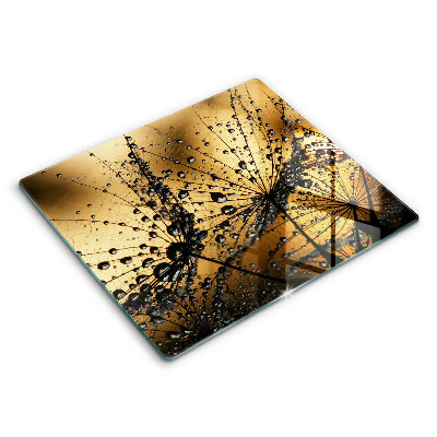 Protetor placa de indução Orvalho e dentes-de-leão