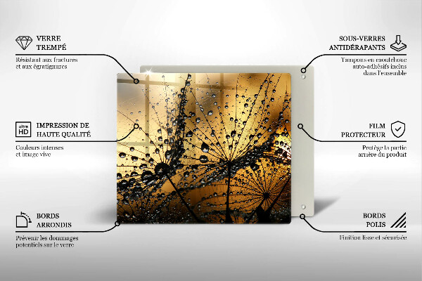 Protetor placa de indução Orvalho e dentes-de-leão