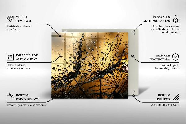 Protetor placa de indução Orvalho e dentes-de-leão