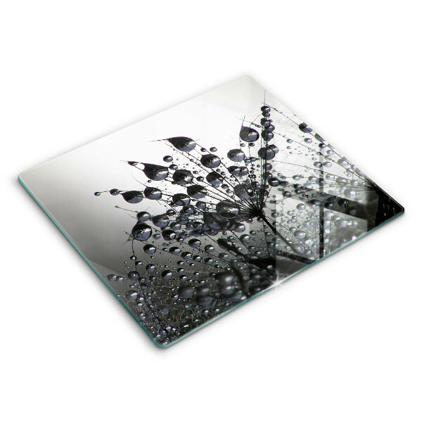 Protetor placa indução Dente-de-leão e orvalho