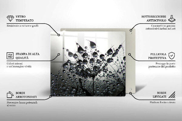 Protetor placa indução Dente-de-leão e orvalho