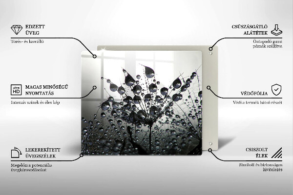 Protetor placa indução Dente-de-leão e orvalho