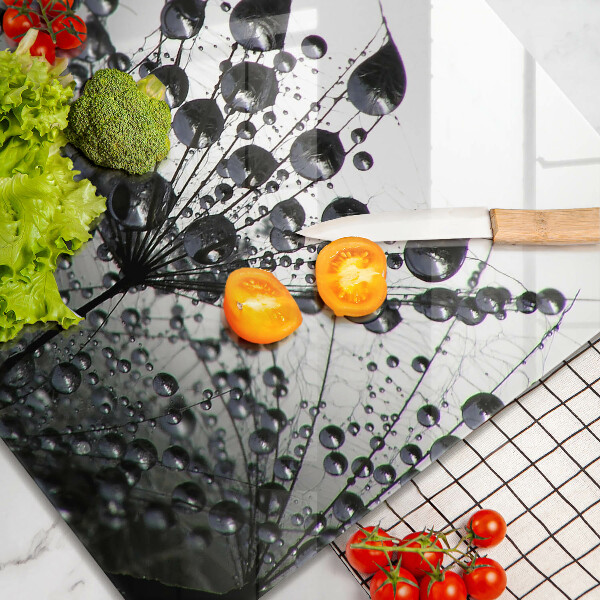 Protetor placa indução Dente-de-leão e orvalho