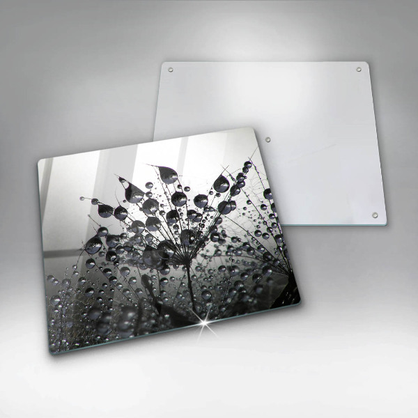 Protetor placa indução Dente-de-leão e orvalho