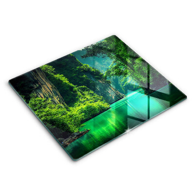 Protetor placa de indução Paisagem da lagoa