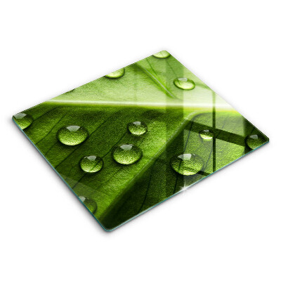 Protetor placa indução Orvalho e folha da natureza