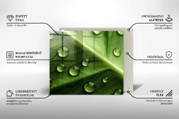Protetor placa indução Orvalho e folha da natureza
