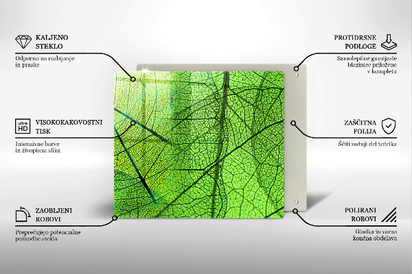 Protetor placa indução Natureza das nervuras das folhas