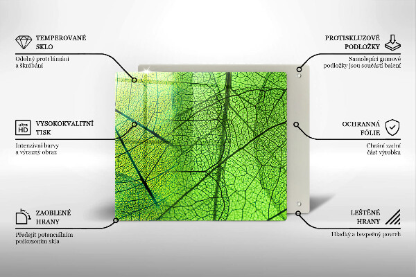 Protetor placa indução Natureza das nervuras das folhas