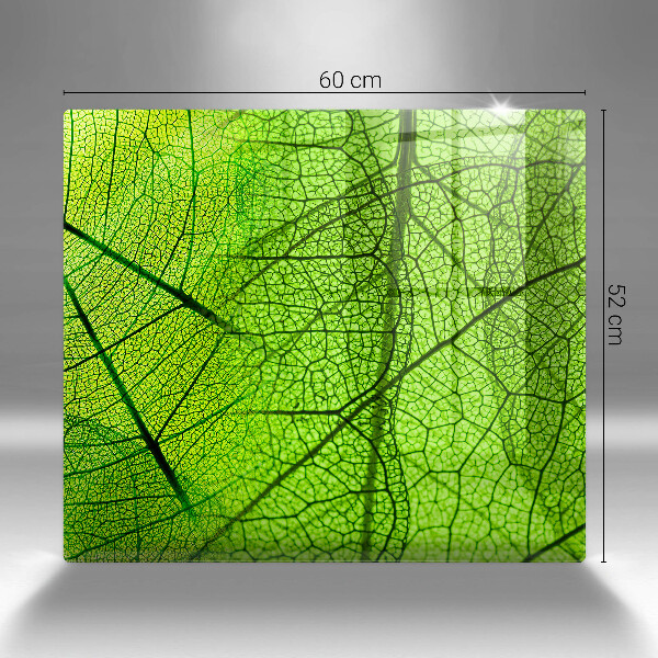 Protetor placa indução Natureza das nervuras das folhas