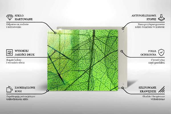 Protetor placa indução Natureza das nervuras das folhas
