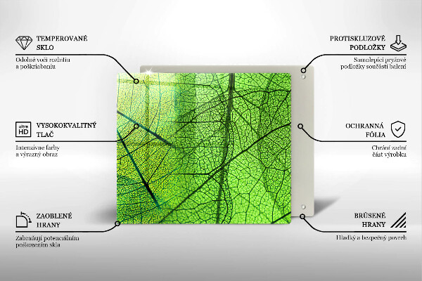 Protetor placa indução Natureza das nervuras das folhas