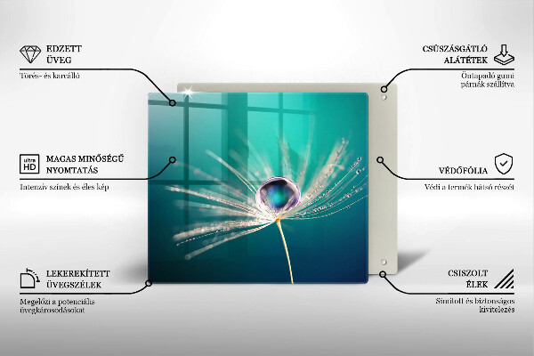 Protetor placa indução Orvalho em um dente-de-leão