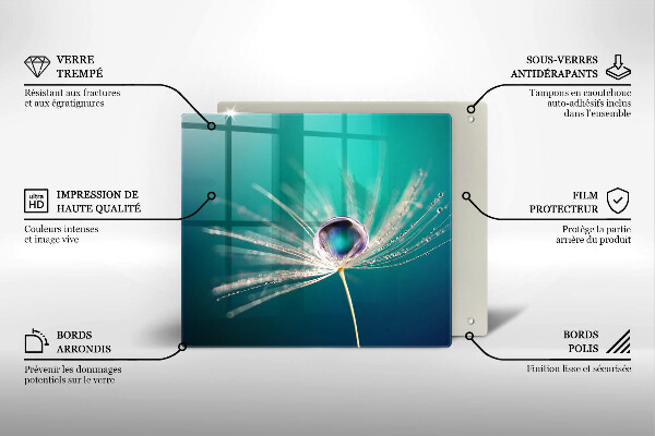 Protetor placa indução Orvalho em um dente-de-leão