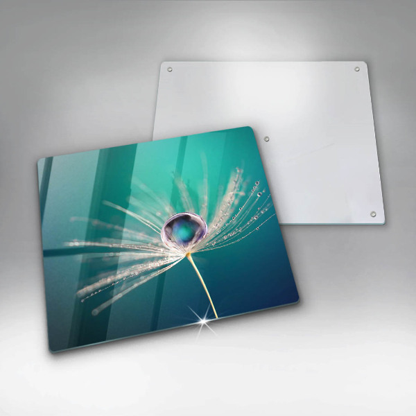 Protetor placa indução Orvalho em um dente-de-leão