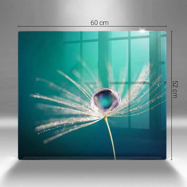 Protetor placa indução Orvalho em um dente-de-leão