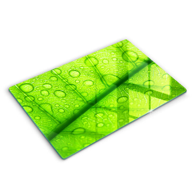 Protetor de fogão de vidro Close-up de uma folha