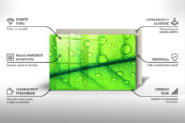 Protetor de fogão de vidro Close-up de uma folha