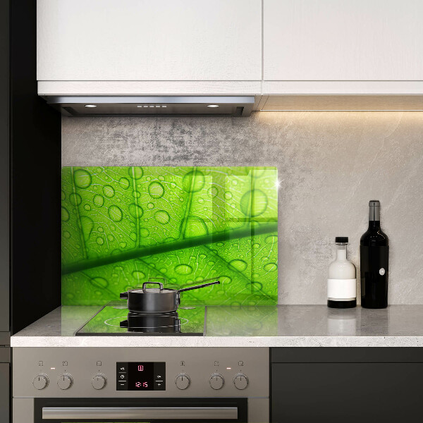 Protetor de fogão de vidro Close-up de uma folha