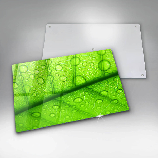 Protetor de fogão de vidro Close-up de uma folha