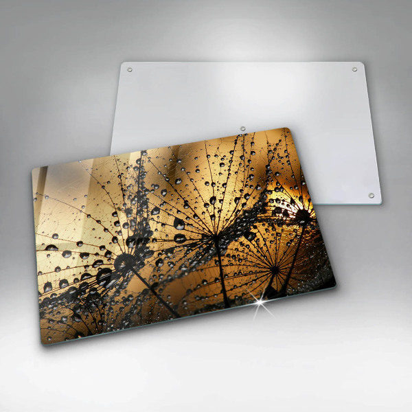 Protetor para fogão de vidro Orvalho e dentes-de-leão