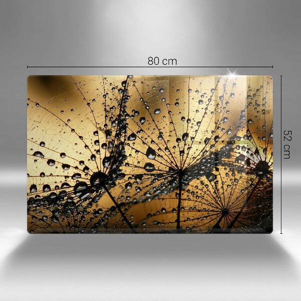 Protetor para fogão de vidro Orvalho e dentes-de-leão