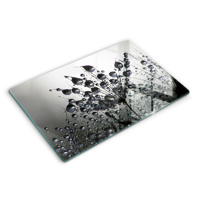 Protetor em vidro para fogão Dente-de-leão e orvalho