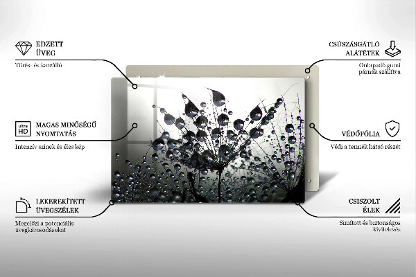 Protetor em vidro para fogão Dente-de-leão e orvalho