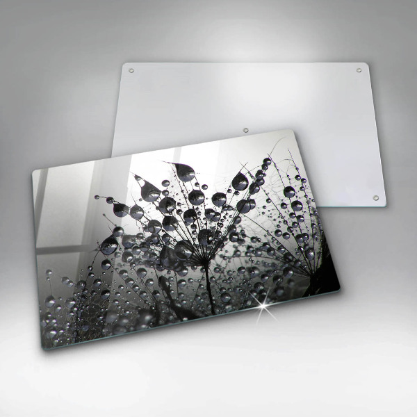 Protetor em vidro para fogão Dente-de-leão e orvalho